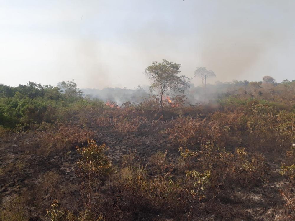 Incêndio destrói área de mata em Parintins 