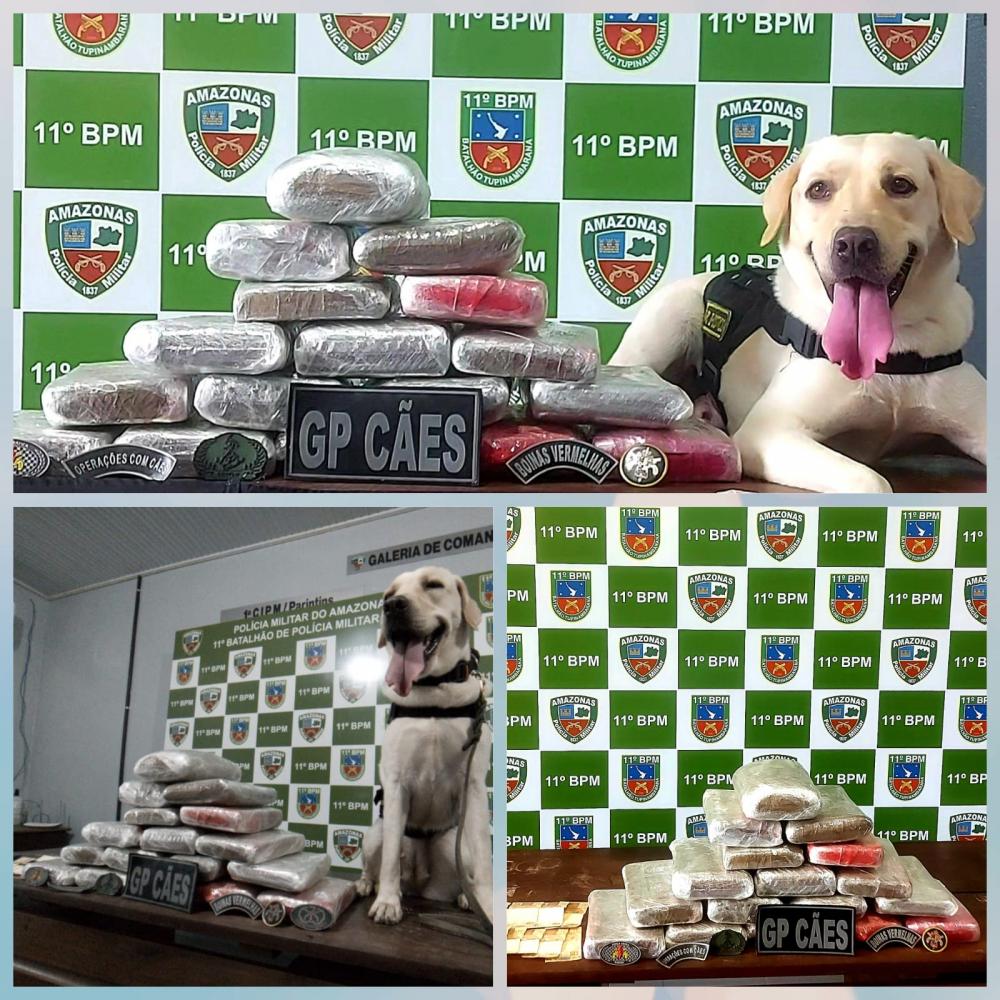 Drogas em embarcação: PM faz maior apreensão de Skunk do ano em Parintins