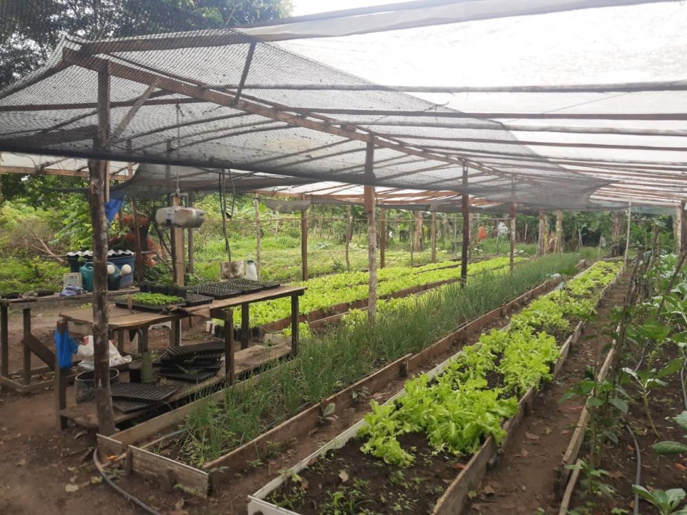 Em Borba, Idam realiza ação em Unidade demonstrativa de avicultura e visita de Assistência Técnica e Extensão Rural 