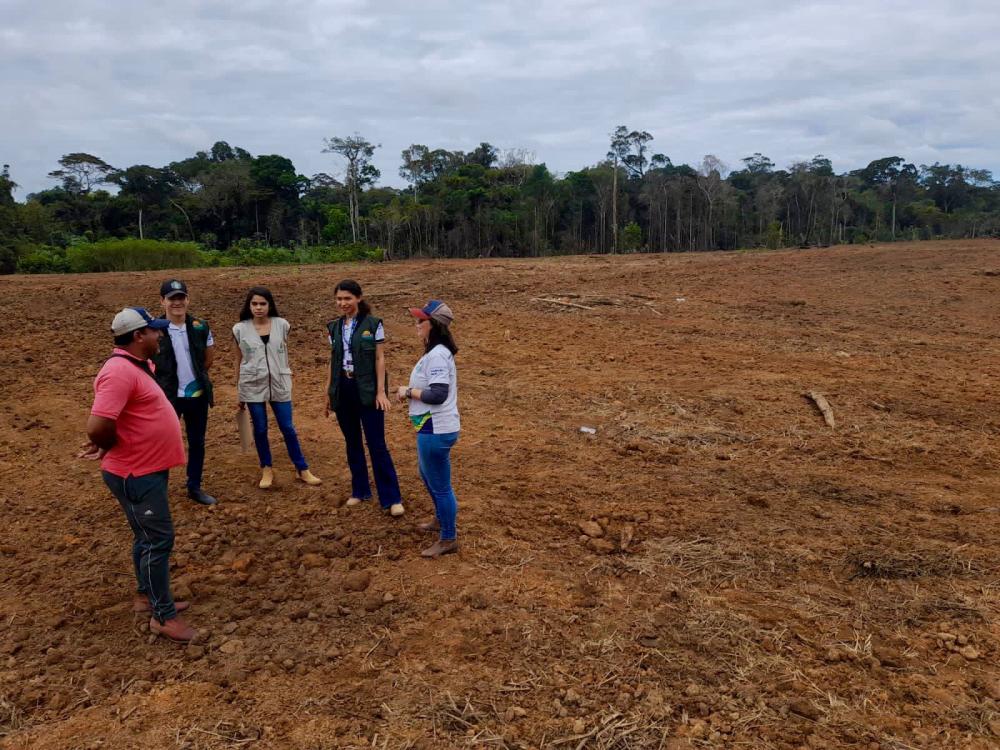 Idam inicia implantação da primeira Unidade Demonstrativa de pecuária em Presidente Figueiredo