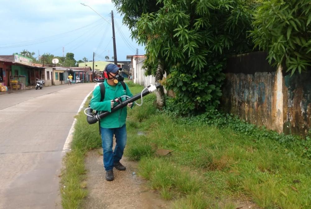 Dengue: informe semanal atualiza cenário epidemiológico nesta quinta-feira