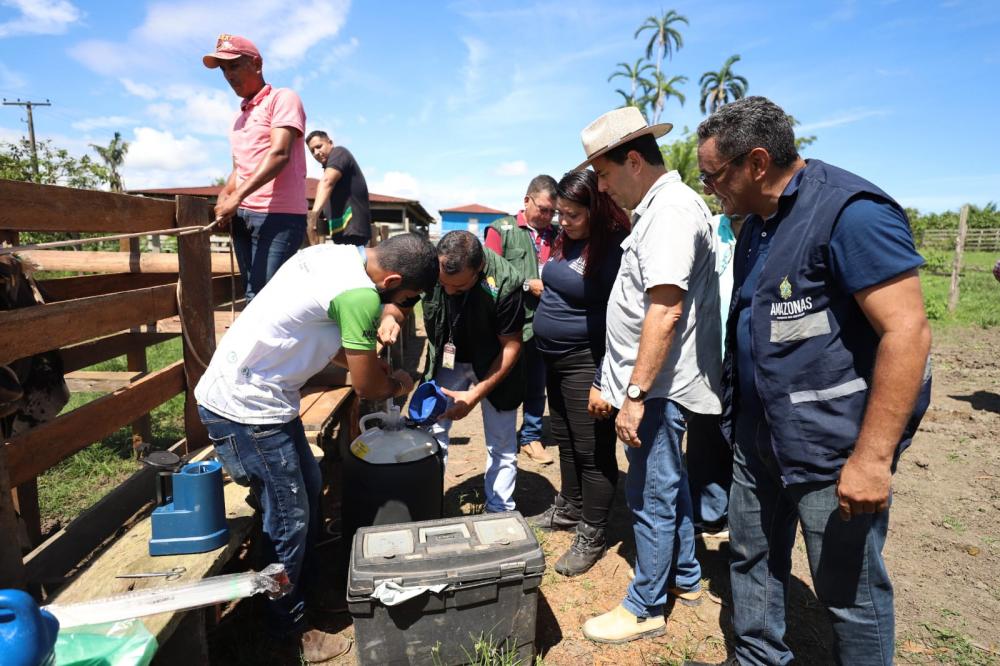 Em Autazes, Governo do Amazonas realiza inseminação artificial em rebanho bovino