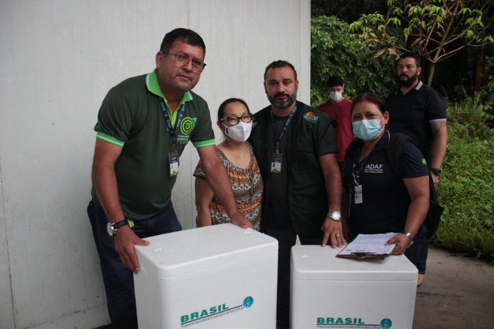 Idam inicia 1ª etapa da campanha ‘Amazonas sem febre aftosa’ em oito municípios