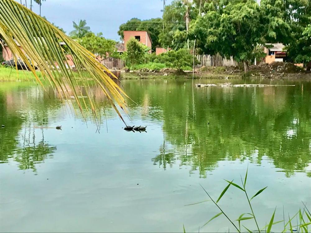 Semana do Meio Ambiente promoverá oficinas e ações na Lagoa Azul e Francesa 