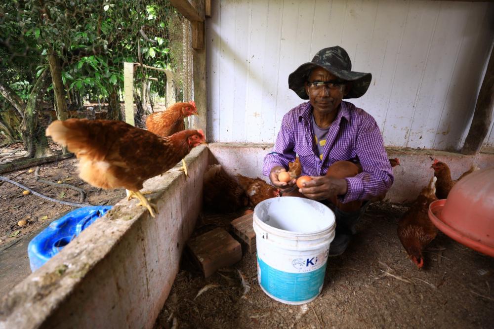 Produtores rurais festejam melhoria no escoamento da produção com a pavimentação de ramais da BR-174