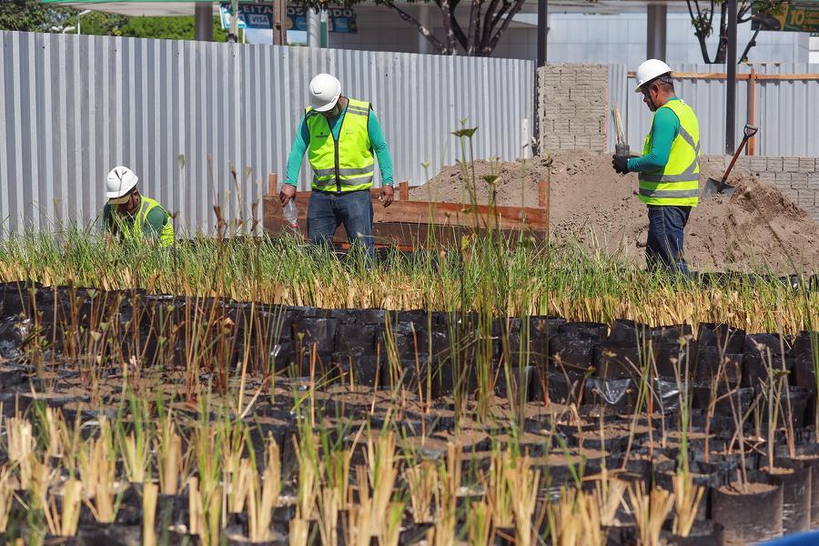Governo do Amazonas aprova e inclui no Prosai as contribuições e sugestões da população de Parintins