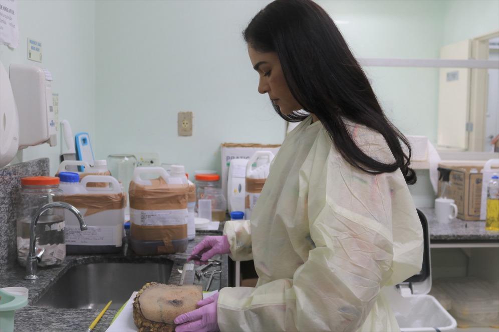 Na FCecon, patologistas auxiliam na definição de tratamento contra o câncer