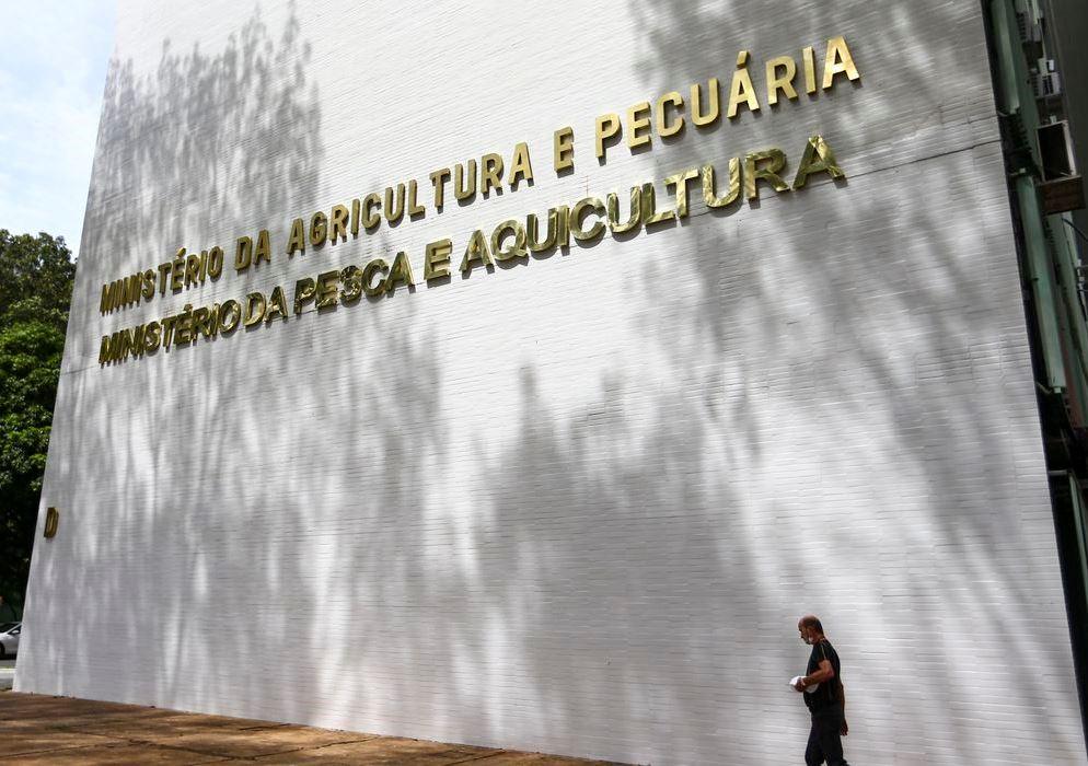 Oito lotes de café são apreendidos com presença de impurezas