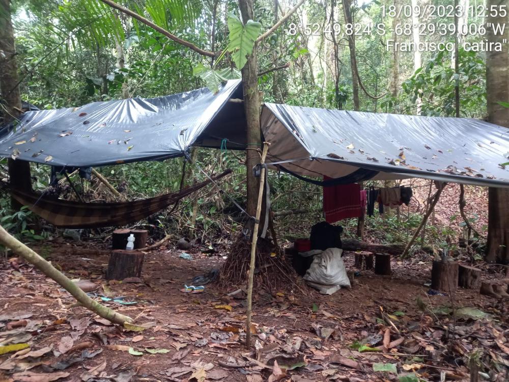 Ibama atua contra desmatamento de 600 hectares em Boca do Acre durante a Operação Amazônia Verde