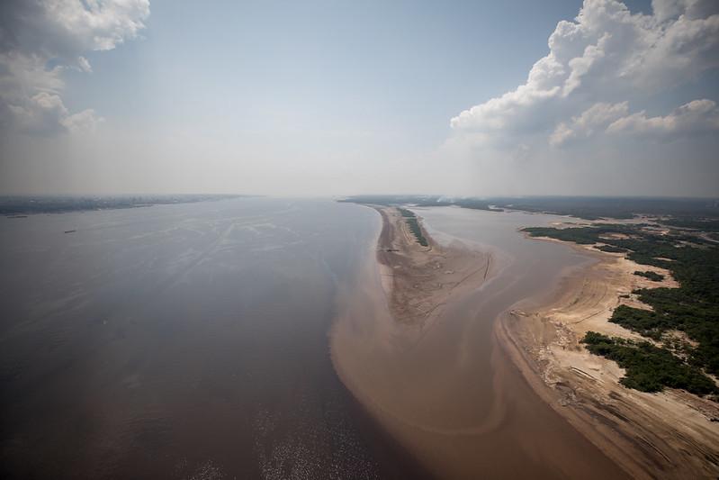 Estado e Governo Federal vão mapear situação da fauna nos rios do Amazonas 