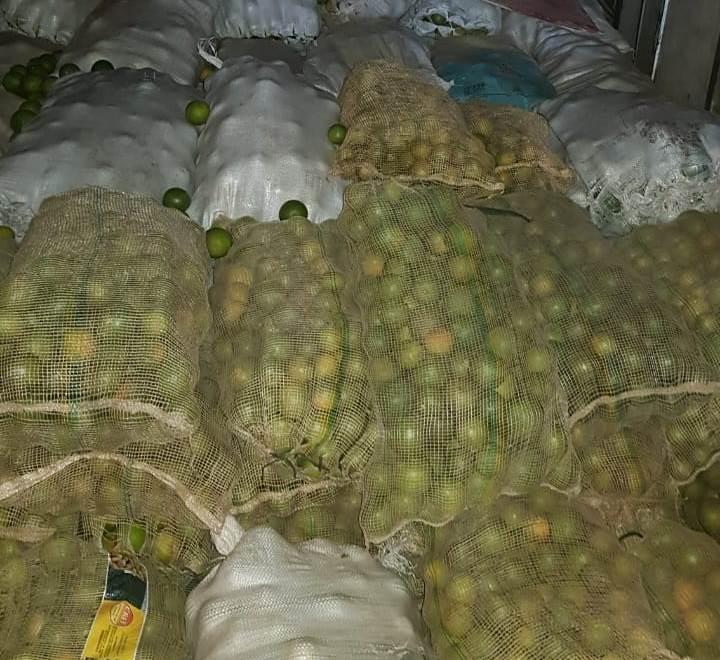 Adaf intercepta 10 toneladas de laranja e coco que seriam transportadas irregularmente para Manaus