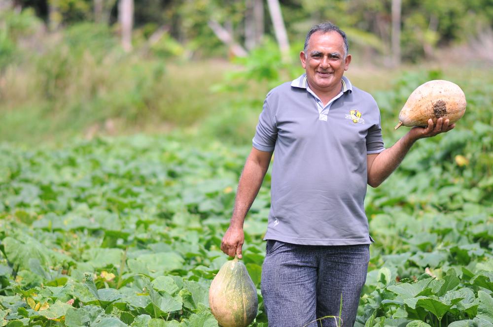 Seduc-AM disponibiliza edital para aquisição de gêneros alimentícios da Agricultura Familiar 