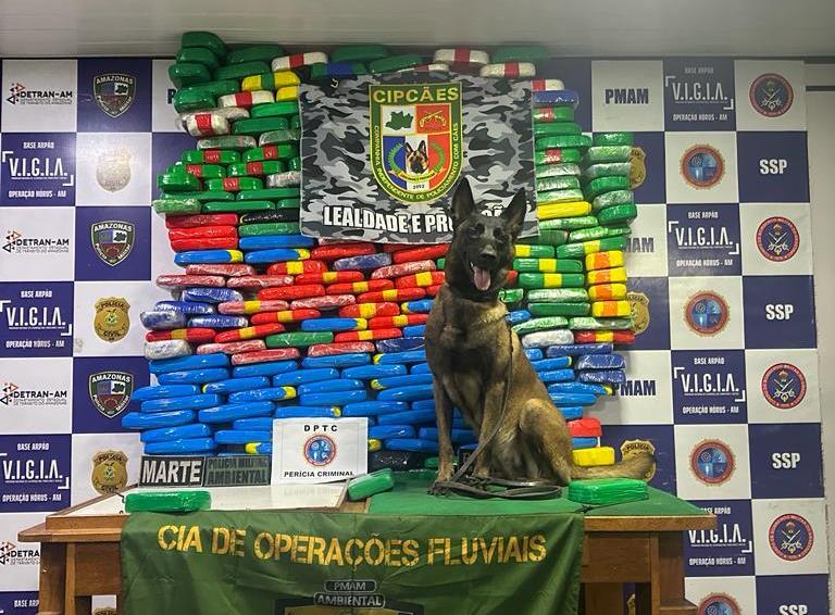 Policiais apreendem 255 quilos de entorpecente durante fiscalização a ferry boat