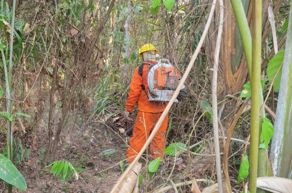Com pouca chuva incêndios reaparecem na região metropolitana de Manaus