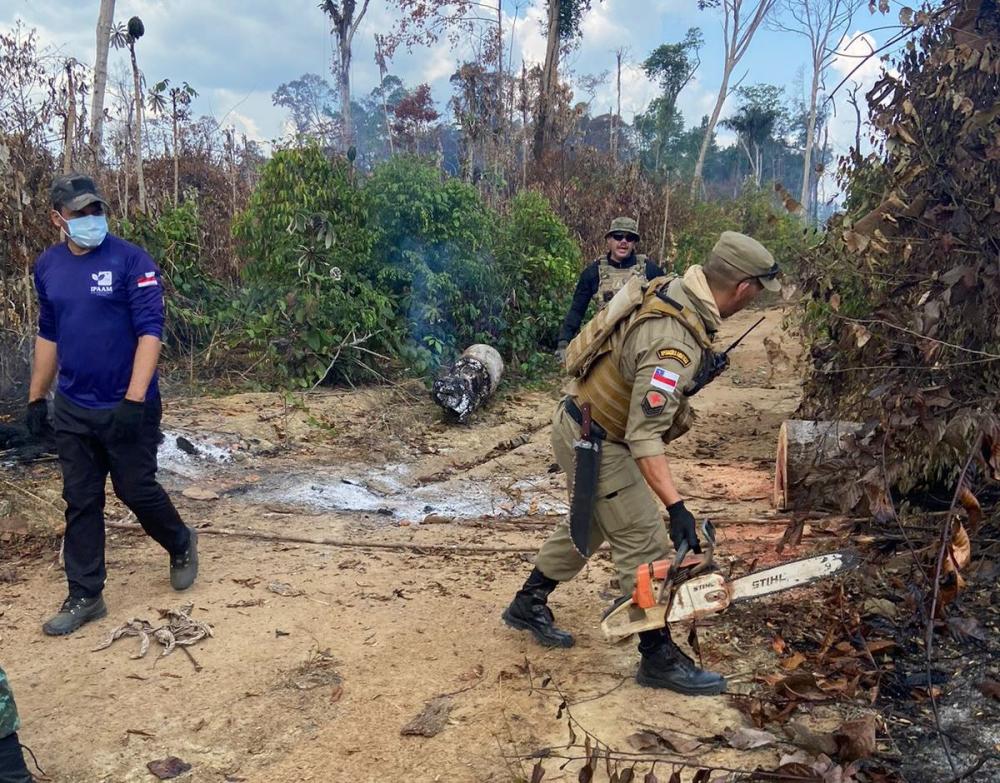Combate a crimes ambientais resultam em ações de embargos, multas e infrações