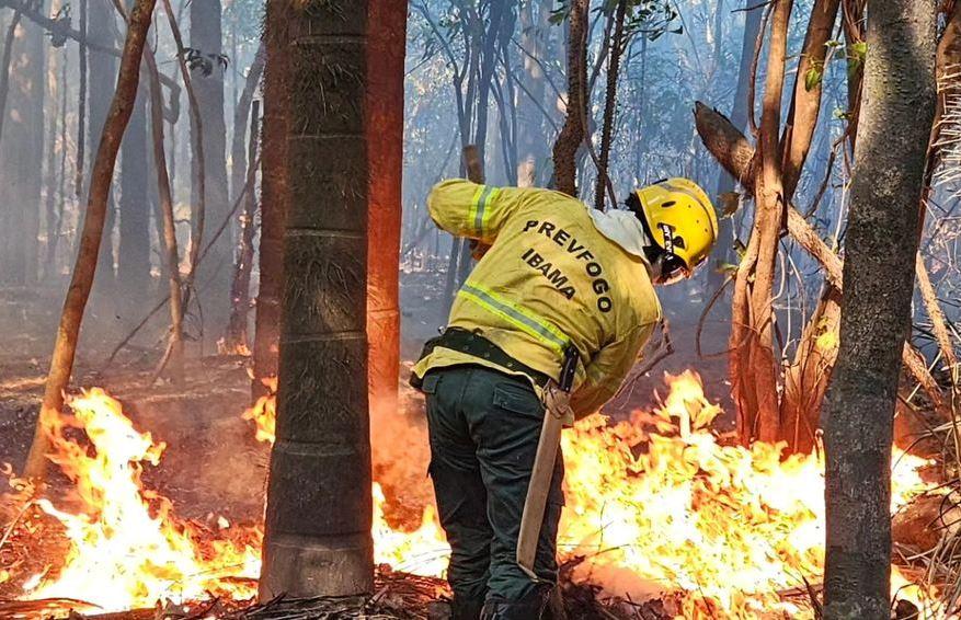 Brigadistas do Ibama e ICMBio trabalham para conter incêndios florestais que atingem os estados do Amazonas e Pará