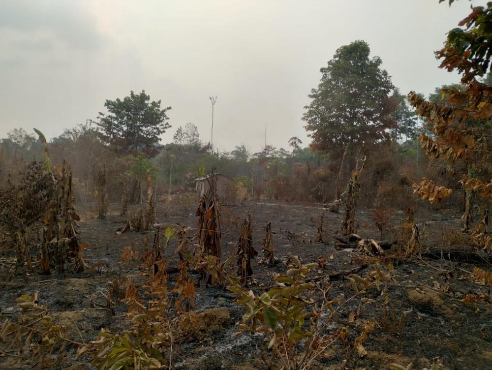 Proprietários de terrenos que provocam queimadas serão identificados por coordenadas geográficas e penalizados