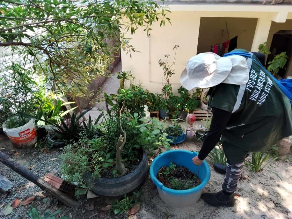 Dengue: Saúde apoia tecnicamente Manaus na realização do último LIRAa de 2023