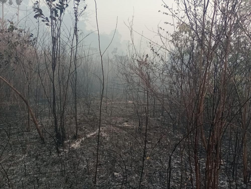 Parintins está entre os municípios com mais focos de incêndio no Amazonas