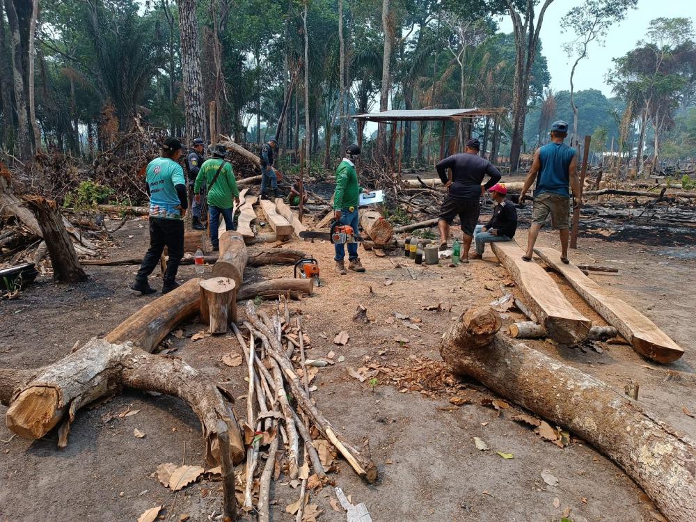 Fiscais da Sedema apreendem motosserras utilizadas na derrubada de castanheiras na Ocupação Teixeirão