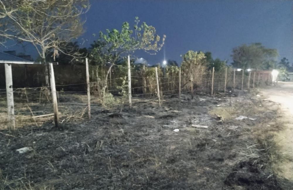 Sedema intensifica patrulhamento para coibir crimes ambientais, em Parintins