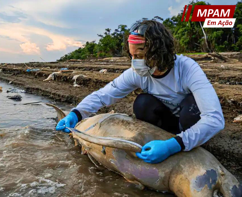 MPAM se reúne com o Conselho Nacional de Direitos Humanos para debater desafios das mudanças climáticas na Amazônia