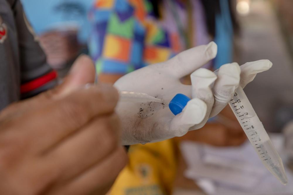 Manaus está em médio risco para doenças causadas pelo Aedes aegypti 