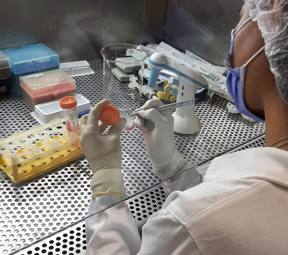 Estudo analisa bioativos naturais como alternativa mais eficaz e menos invasiva no tratamento do câncer