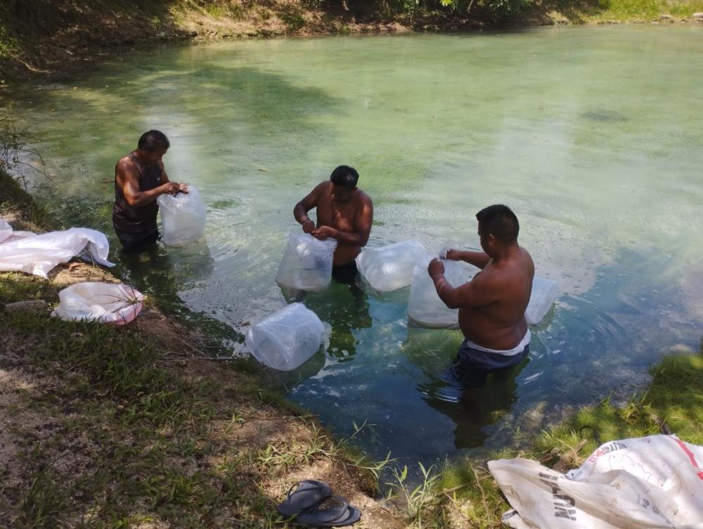 Edital do PAA Indígena no Amazonas prevê inscrições até o dia 20 de janeiro