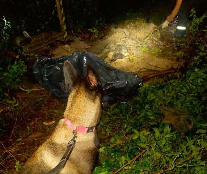 Cães de resgate do Corpo de Bombeiros auxiliaram trabalho de busca por corpo em Presidente Figueiredo