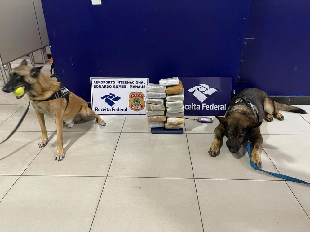 Em 2023, denúncias enviadas ao 181 resultaram na apreensão de mais de 3 toneladas de drogas e na prisão de 74 pessoas