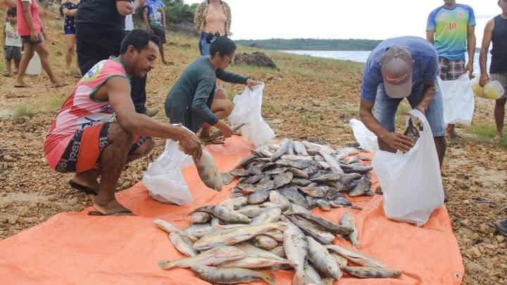 Prefeitura distribui pescados para mais de 2 mil famílias da região do Uaicurapá
