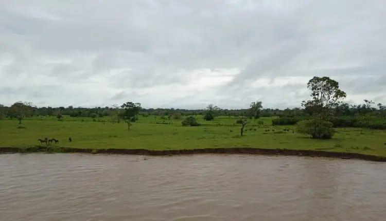 Em Parintins, idoso está desaparecido após embarcação naufragar no Rio Amazonas