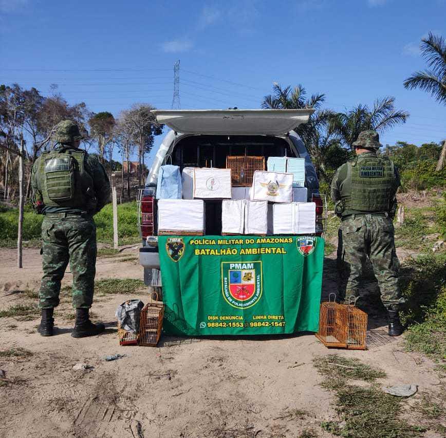 Polícia Militar do Amazonas prende sete pessoas por caça ilegal de aves silvestres