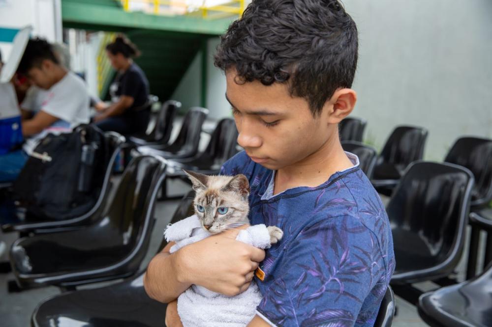 Em Manaus, Centro de Zoonoses da prefeitura realiza agendamento para castração de gatos na zona Norte
