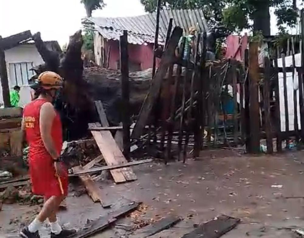 Queimadas destruíram raiz da castanheira que tombou sobre uma residência em Parintins