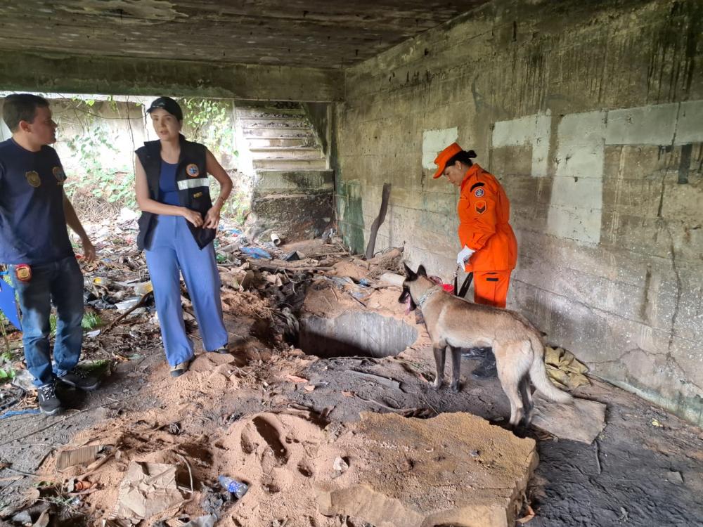 Corpo de Bombeiros treina cães para atuar em ocorrências de buscas e resgate 