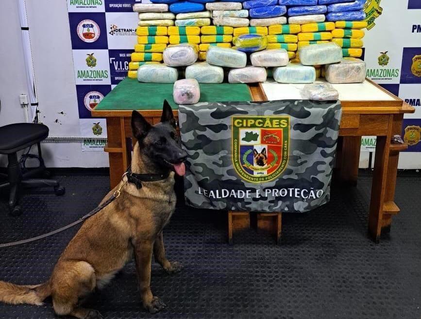 Base Arpão 1: SSP-AM apreende droga avaliadas em mais de R$4,4 milhões em embarcação em Coari