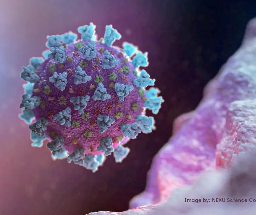 Casos de covid-19 diminuem no Norte e aumentam no Centro-Sul