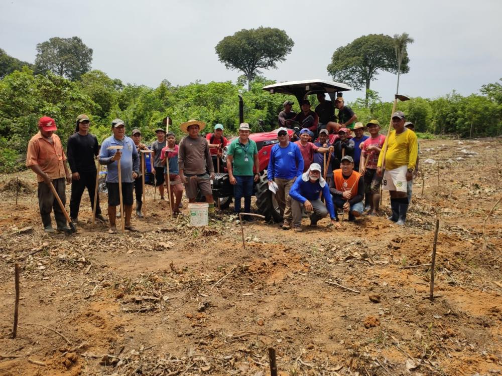 Idam acompanha a implantação de Unidades de Referência Tecnológica para a Cultura da Banana em Tefé