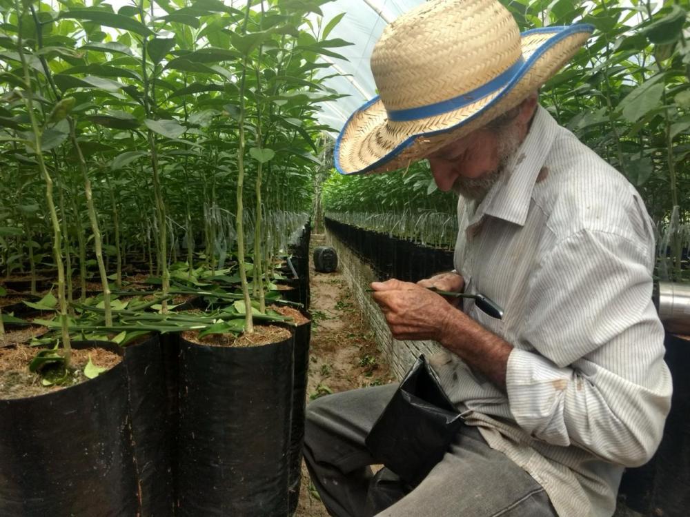 Sepror apresenta medidas para combater a dengue em propriedades rurais do Amazonas