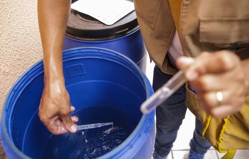 Dengue: nos três primeiros meses, número de casos se aproxima do total registrado em todo o ano passado