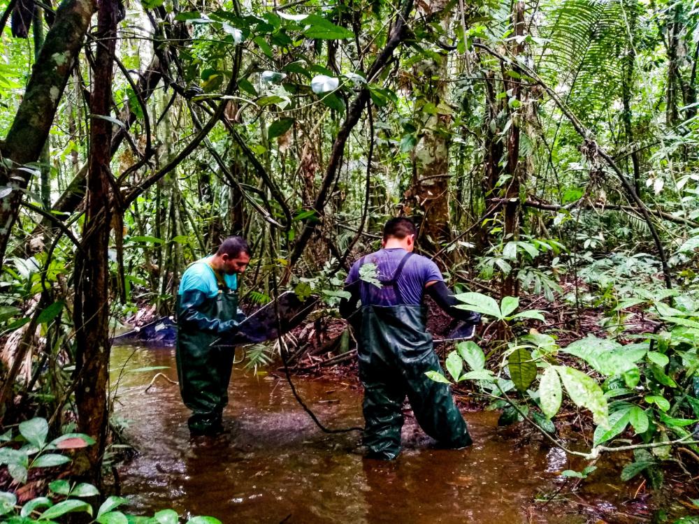 Dia da Água: pesquisas apoiadas pelo Governo do Amazonas analisam qualidade da água e de ambientes aquáticos