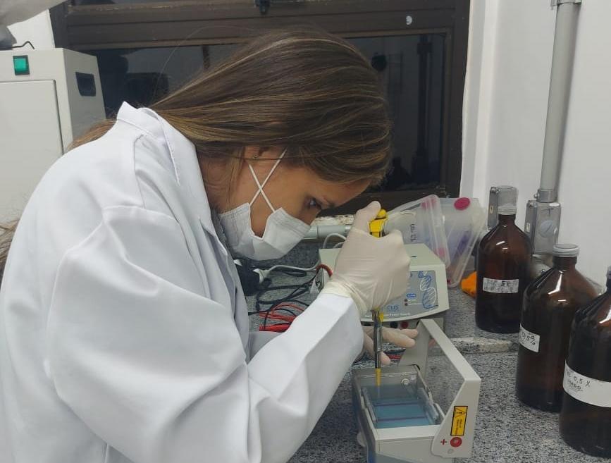 Pesquisa apoiada pelo Governo do Amazonas analisa a diversidade geográfica e epidemiológica de inseto da região