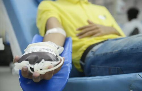 SANGUE: Hemocentros convocam doadores devido ao estoque baixo; veja onde doar na sua região