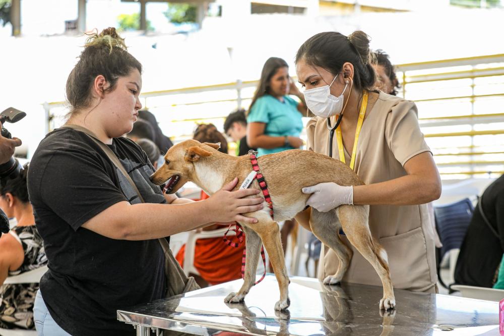 Castramóvel:  Governo do Amazonas realiza ação itinerante no shopping ViaNorte 