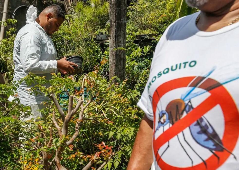 DENGUE: DF entra na lista das 10 unidades da federação com tendência de queda nos casos da doença