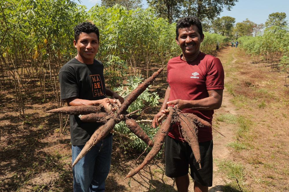 No Dia da Mandioca, Idam ressalta importância da cultura para agricultura familiar local