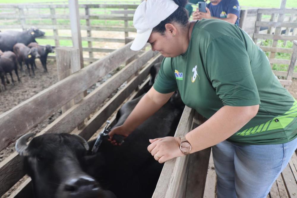 Idam alerta sobre o fim do prazo para vacinação contra febre aftosa no estado