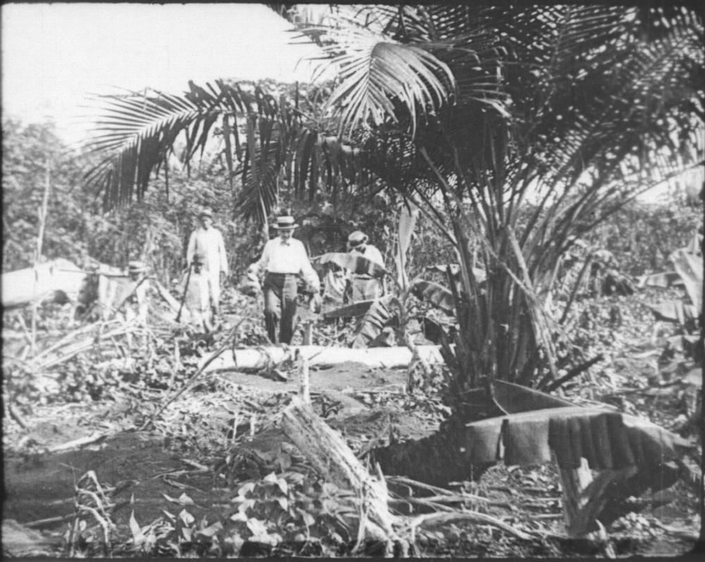 Cineclube de Arte exibe filme de Silvino Santos perdido desde 1930 e encontrado em 2023